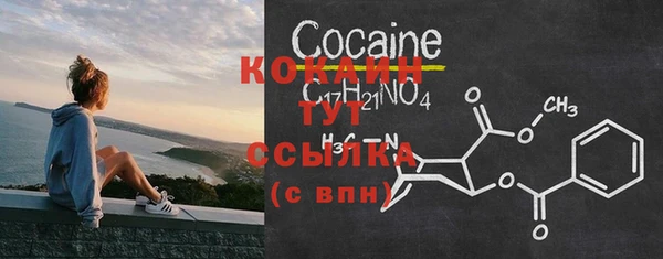 apvp Белокуриха