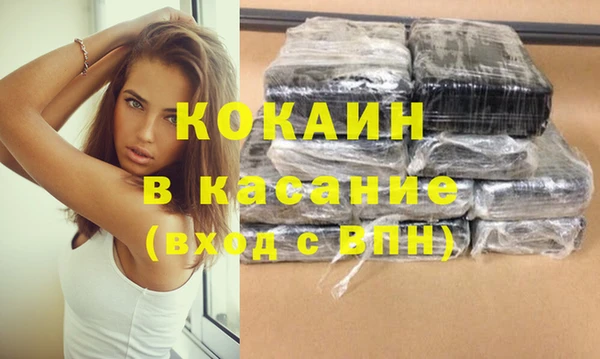 сатива Сафоново