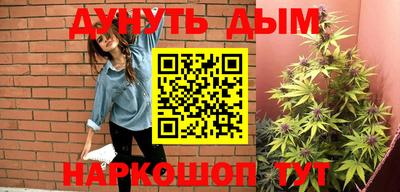 шишки Партизанск