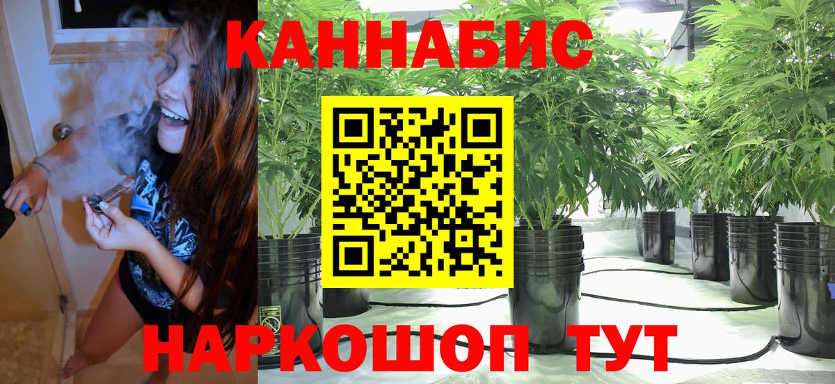 Канабис конопля  Вход с VPN  Печора  Бошки марихуана план  Каннабис Amnesia 